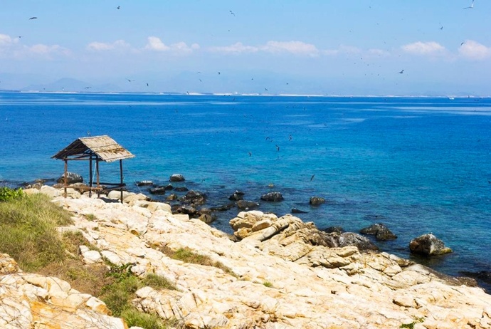 activites and attractions about binh hung tourism - bird nest island