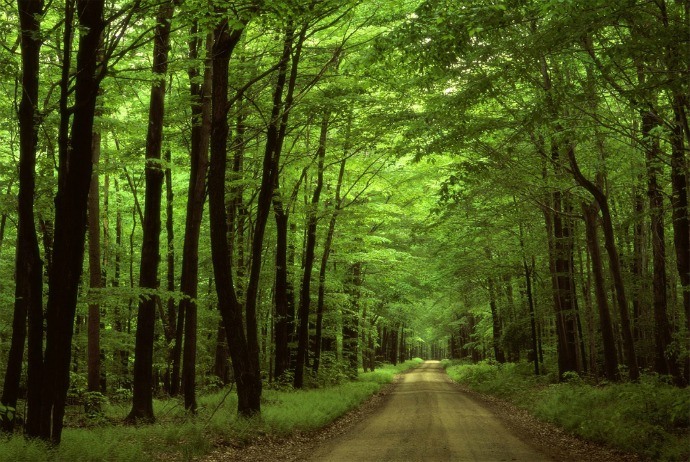 Bach Ma National Park
