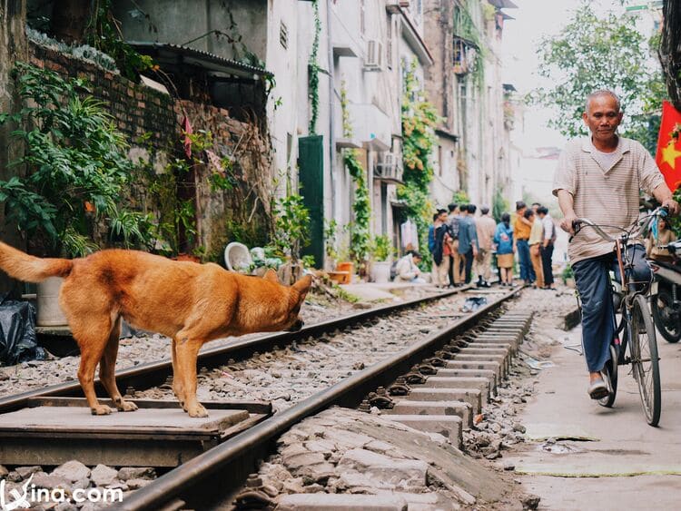 beautiful hanoi train street vietnam photos - hanoi train street photos