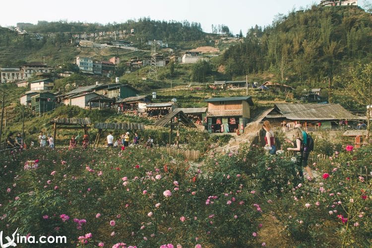 photos of sapa landscapes vietnam photos - landscapes of sapa