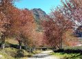 vietnam photos - landscapes of sapa