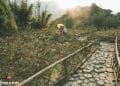 vietnam photos - landscapes of sapa