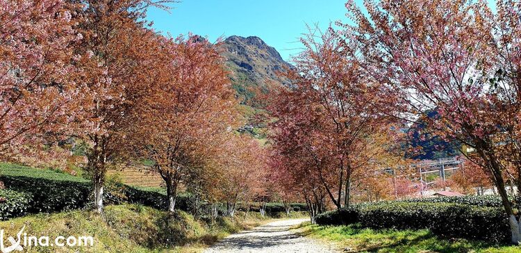 beautiful photos of sapa landscapes vietnam photos - landscapes of sapa