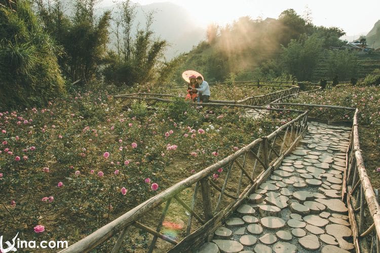 sapa in vietnam vietnam photos - landscapes of sapa
