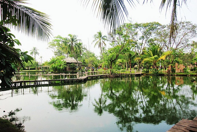 Ho chi minh activities