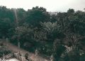 vietnam photos – buu long pagoda photos