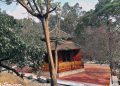 vietnam photos – buu long pagoda photos
