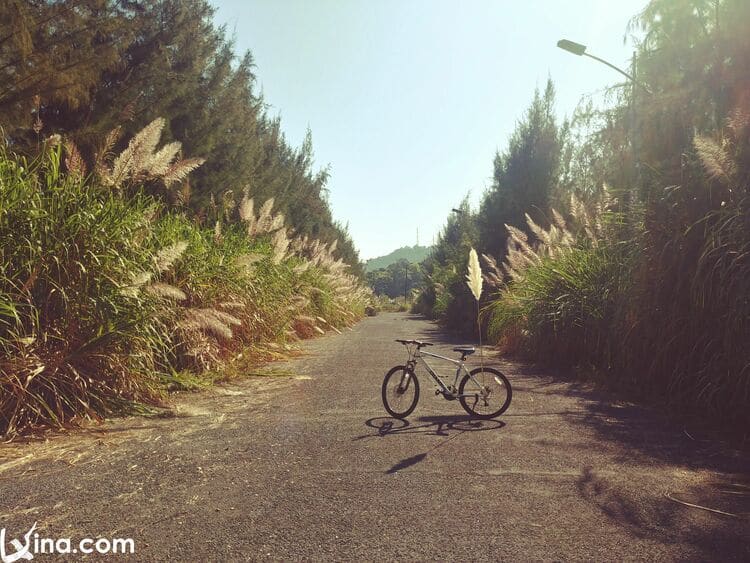 cat ba island photo in hai phong vietnam photos - cat ba island photos