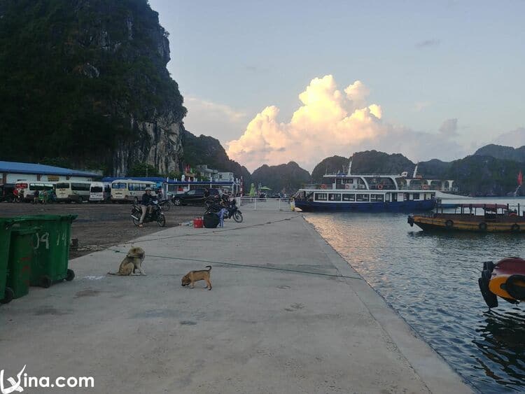 cat ba island photo in vietnam vietnam photos - cat ba island photos
