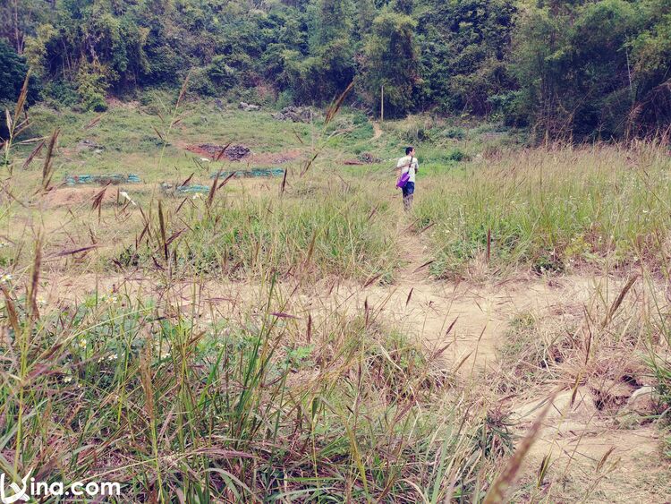 cat ba island photo in vietnam vietnam photos - cat ba island photos
