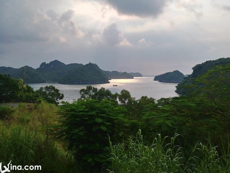 cat ba in hai phong vietnam photos - cat ba island photos