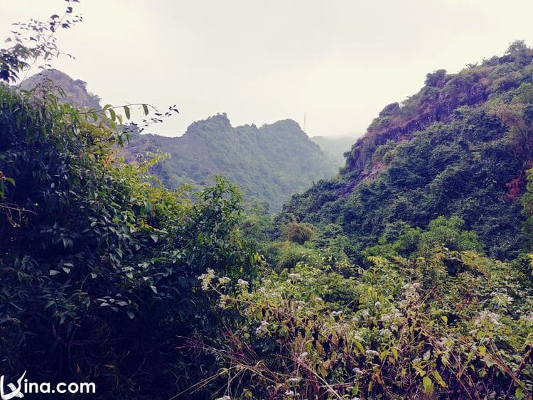 cat ba island in vietnam vietnam photos - cat ba island photos