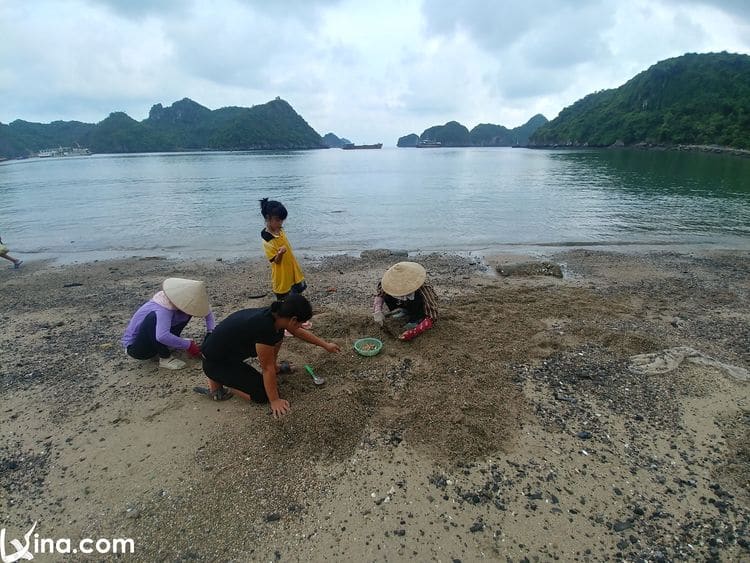 cat ba in vietnam vietnam photos - cat ba island photos