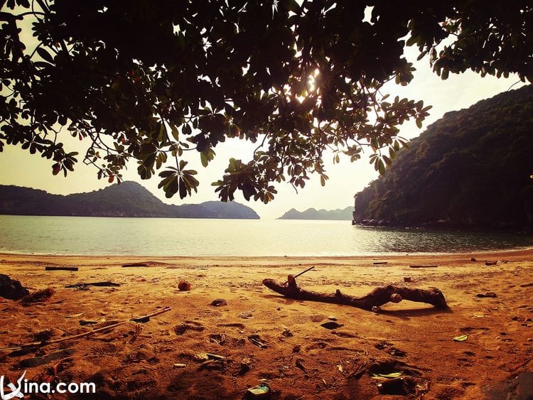 cat ba island in hai phong vietnam vietnam photos - cat ba island photos