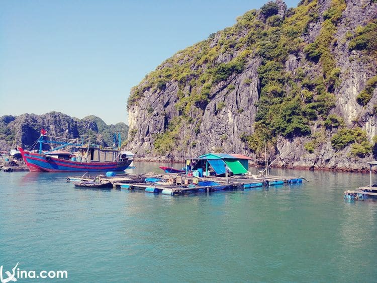 cat ba island by nham thi nguyen vietnam photos - cat ba island photos
