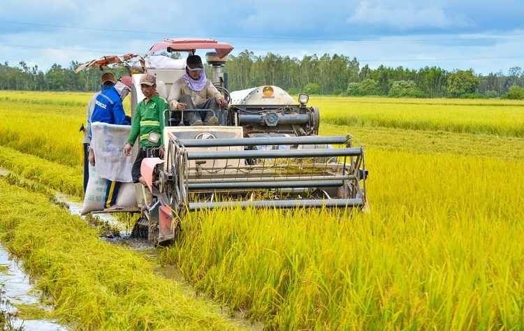 Challenges Compel Restructuring In Agriculture