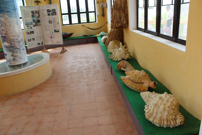Cu Lao Cham Island 