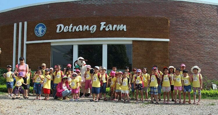 vietnam photos - detrang farm