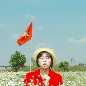 Dinh Thuy Quynh Dinh Thuy Quynh