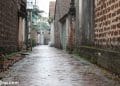 vietnam photos - duong lam ancient village photos