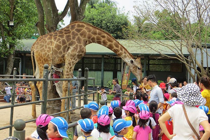 Hanoi Activities
