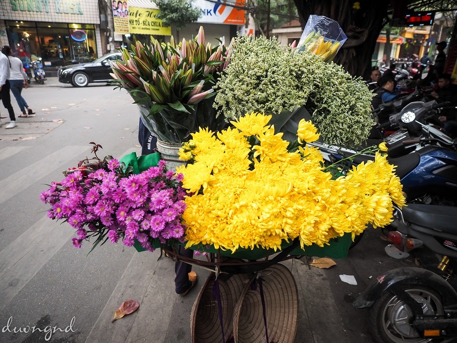 flower bicycle