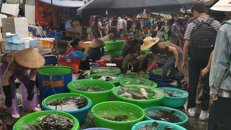 ha long vietnam photos - ha long market