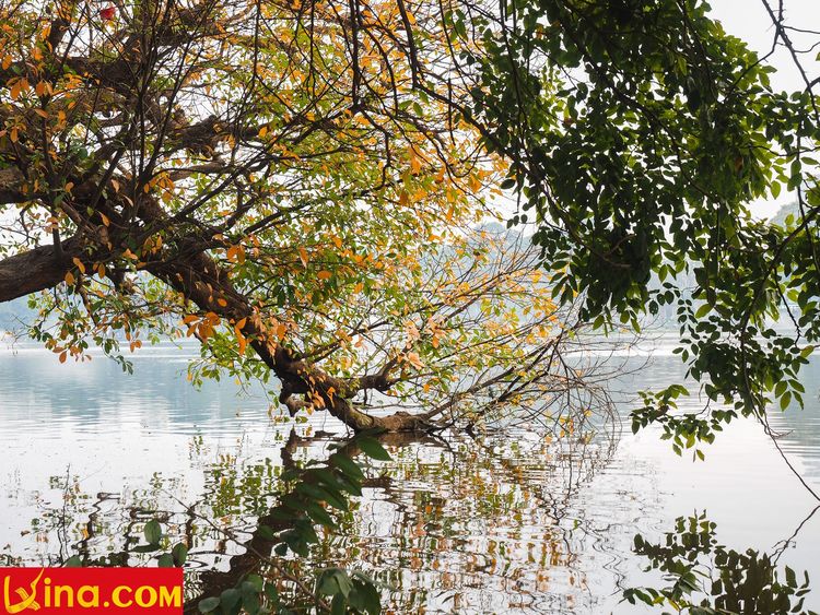 hanoi in changing season photo vietnam photos - hanoi in changing season photos