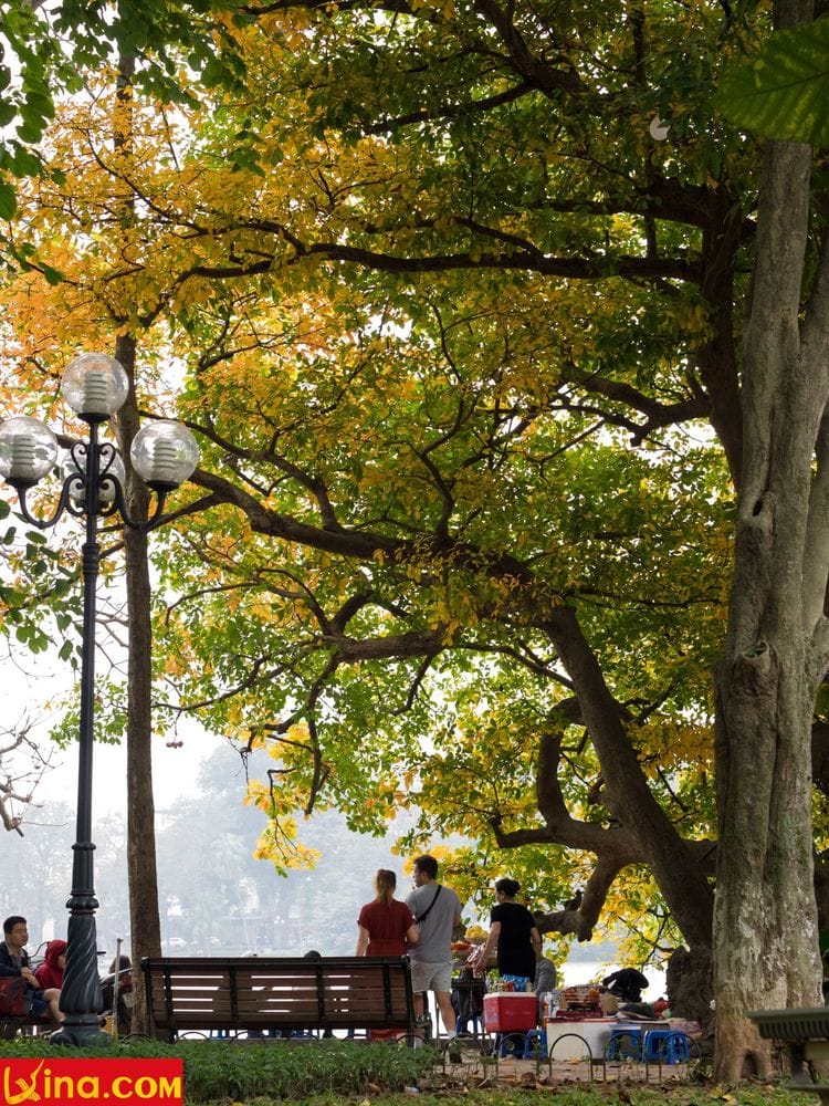 ha noi photo by duong nguyen vietnam photos - hanoi in changing season photos