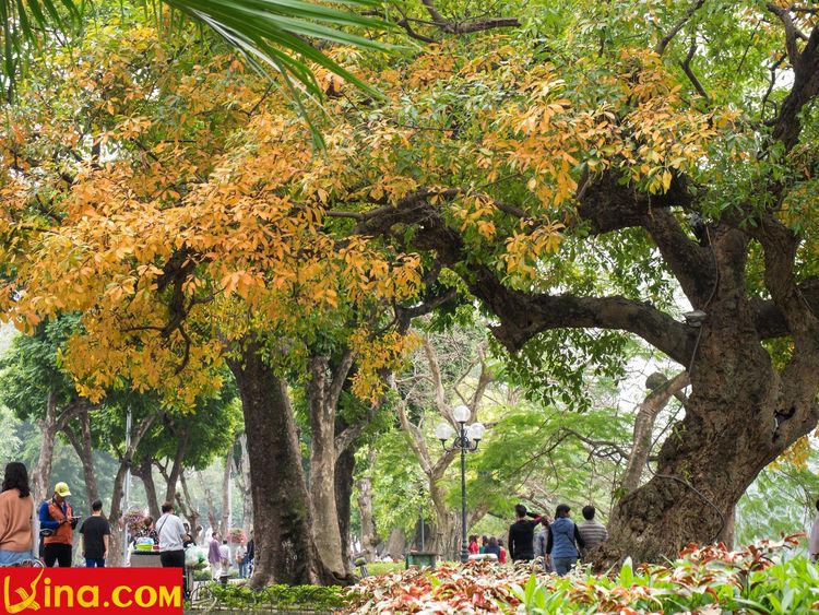 hanoi in changing season photo by duong nguyen vietnam photos - hanoi in changing season photos