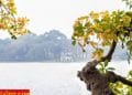 vietnam photos - hanoi in changing season photos