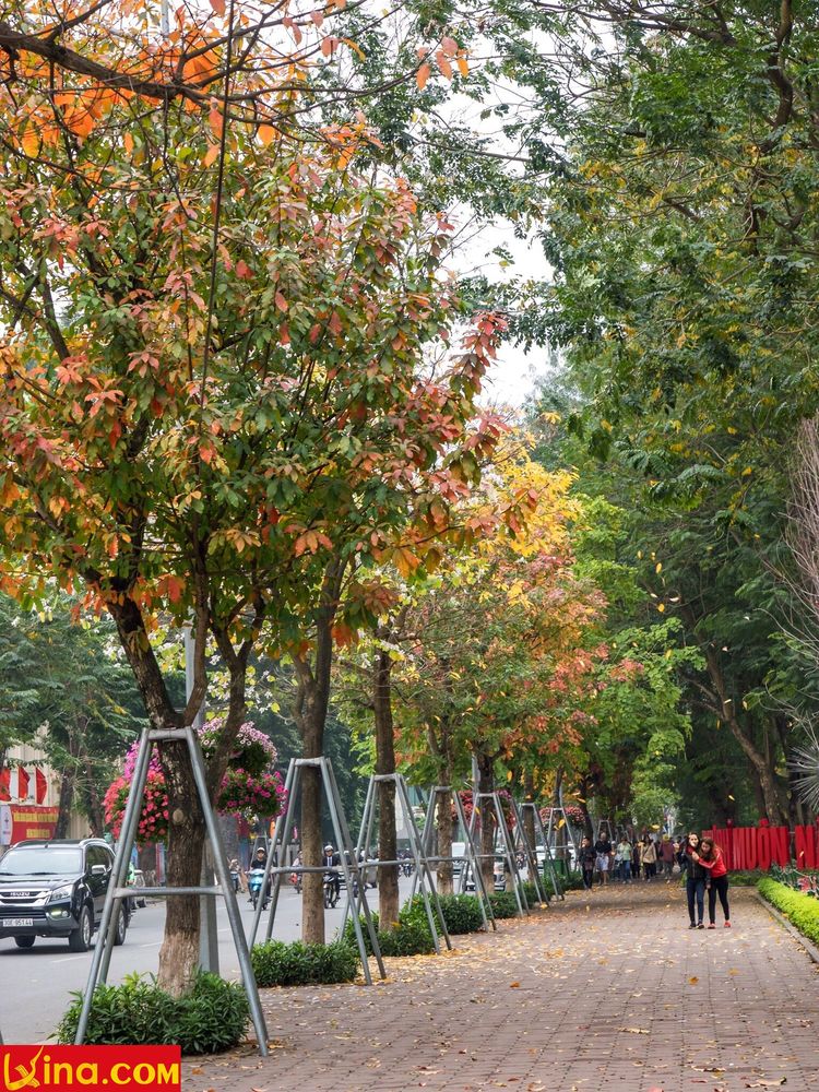 ha noi vietnam photo by duong nguyen vietnam photos - hanoi in changing season photos