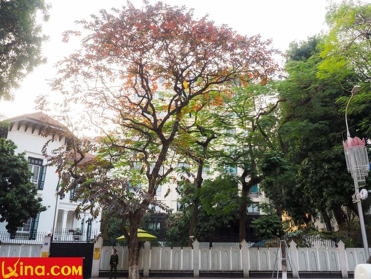 ha noi vietnam photos by duong nguyen vietnam photos - hanoi in changing season photos