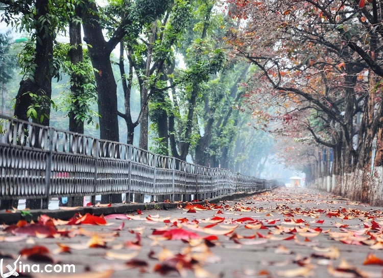 ha noi photos vietnam photos - hanoi in changing season photos