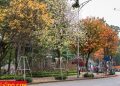 vietnam photos - hanoi in changing season photos