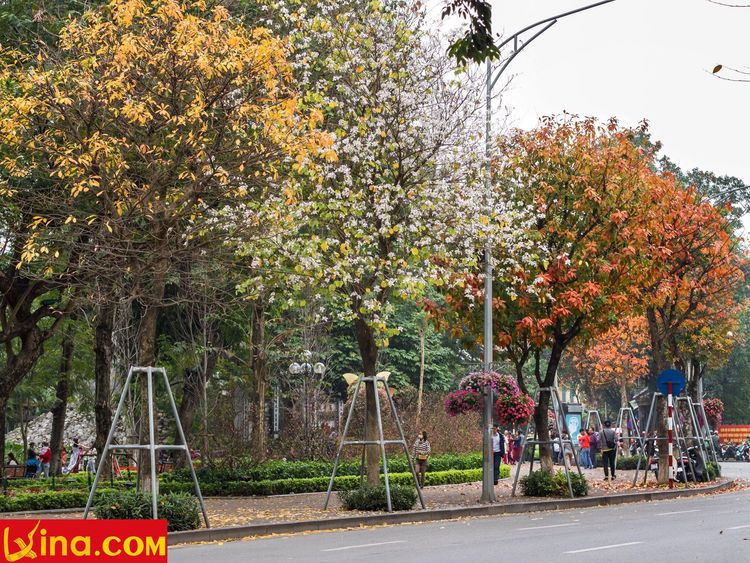 hanoi in changing season photo in vietnam by duong nguyen vietnam photos - hanoi in changing season photos