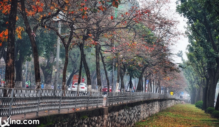 hanoi in changing season vietnam photos - hanoi in changing season photos