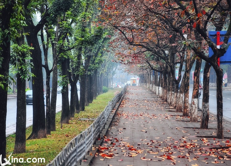 hanoi in changing season photo vietnam photos - hanoi in changing season photos