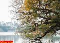 vietnam photos - hanoi in changing season photos