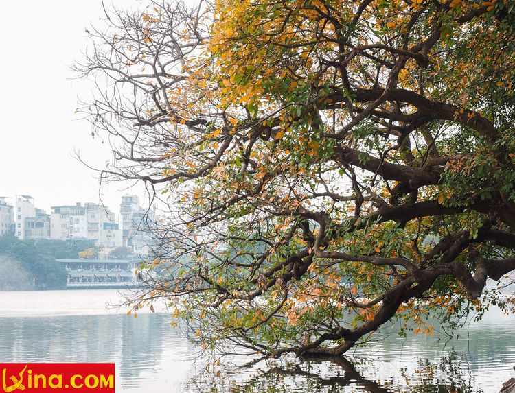 ha noi photos by duong nguyen vietnam photos - hanoi in changing season photos