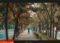 vietnam photos - hanoi in changing season photos
