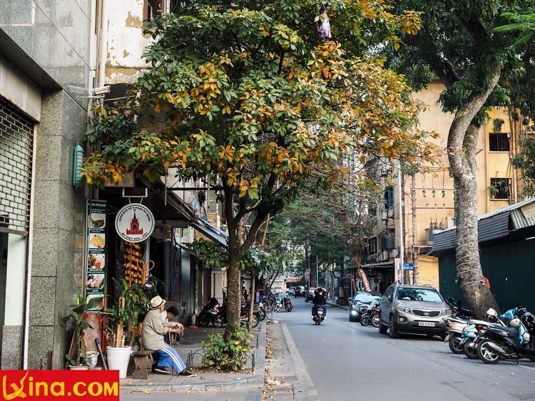 hanoi in changing season photo by duong nguyen vietnam photos - hanoi in changing season photos