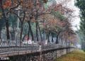 vietnam photos - hanoi in changing season photos