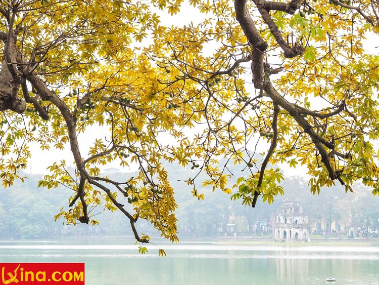 hanoi in changing season photos in vietnam vietnam photos - hanoi in changing season photos