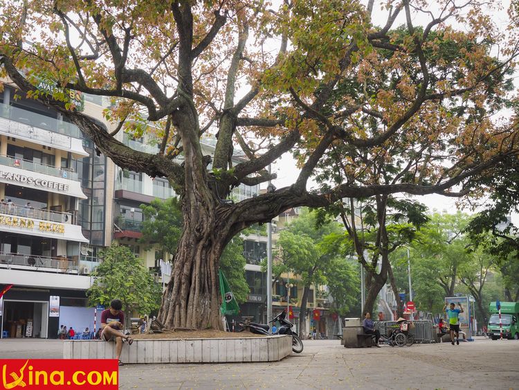 ha noi vietnam photos vietnam photos - hanoi in changing season photos