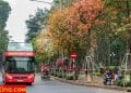 vietnam photos - hanoi in changing season photos