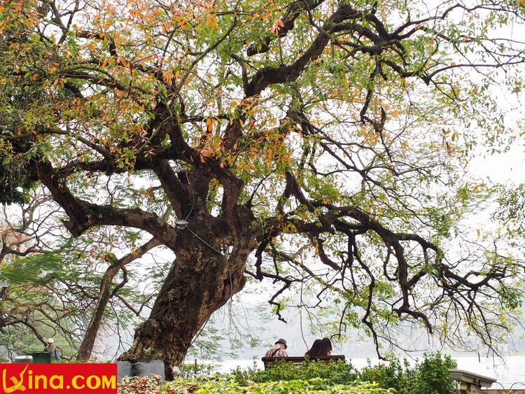 ha noi photo vietnam photos - hanoi in changing season photos