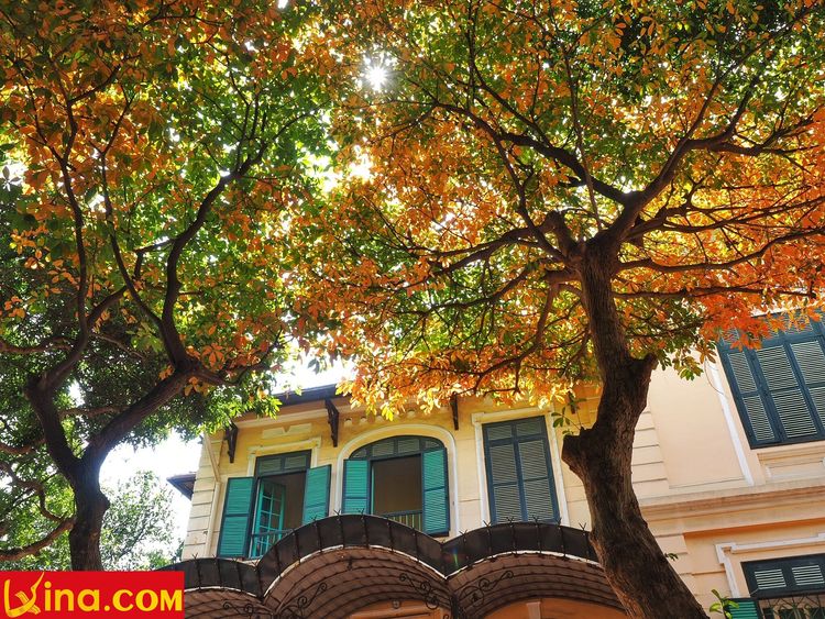 ha noi photos vietnam photos - hanoi in changing season photos
