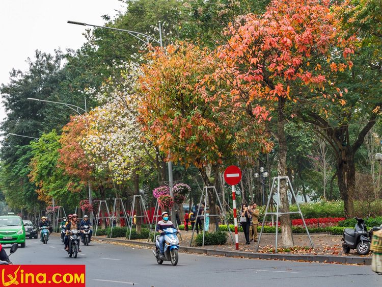 ha noi vietnam photos - hanoi in changing season photos