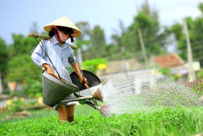 Learn to be a fisherman and a farmer in Hoi An